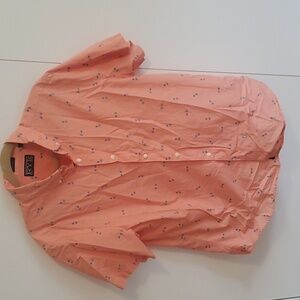 Pineapples with sunglasses, buttondown shirt